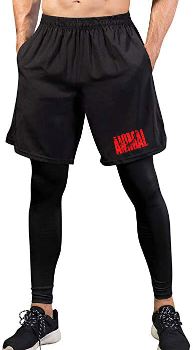 Szorty Animal New